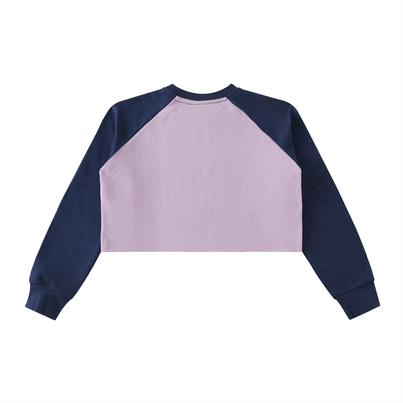 Ventra Raw-Hem Color-Block Crop Sweatshirt